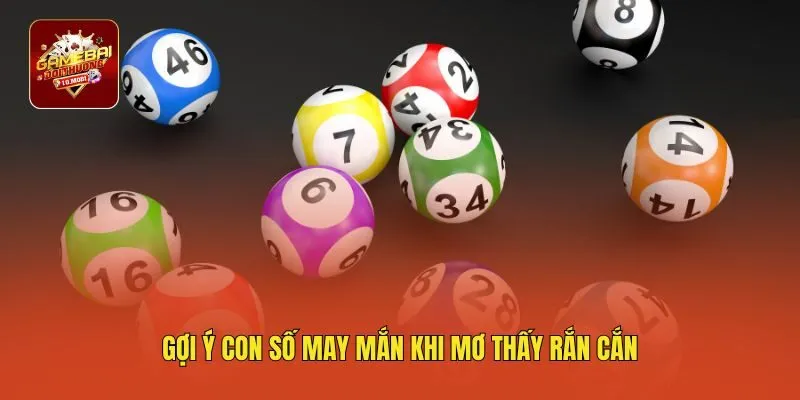 Gợi ý con số may mắn khi mơ thấy rắn cắn