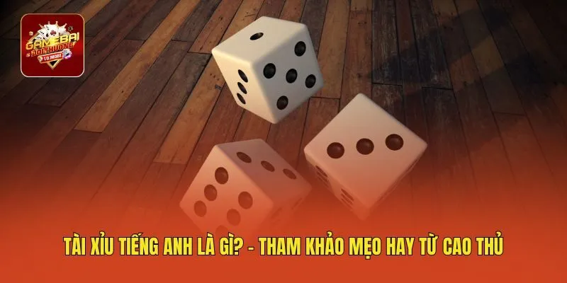 Tài xỉu tiếng anh là gì? - Tham khảo mẹo hay từ cao thủ
