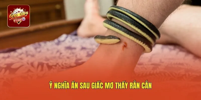 Ý nghĩa ẩn sau giấc mơ thấy rắn cắn